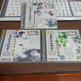 【碟片】VCD 写意花鸟画教学 包括葡萄与八哥 葫芦和蝈蝈 荷花与翠鸟 松和鹰 水仙花 紫藤与金鱼（共3盒碟片） 【满40元包邮】