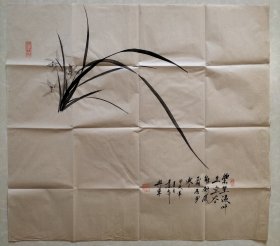张兴军 兰花