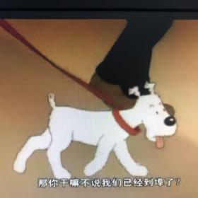 丁丁历险记 洪恩英语（儿童动画片光盘）