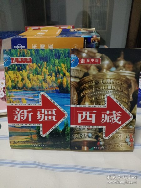 走遍中国——新疆 走遍中国——西藏(2本合售)