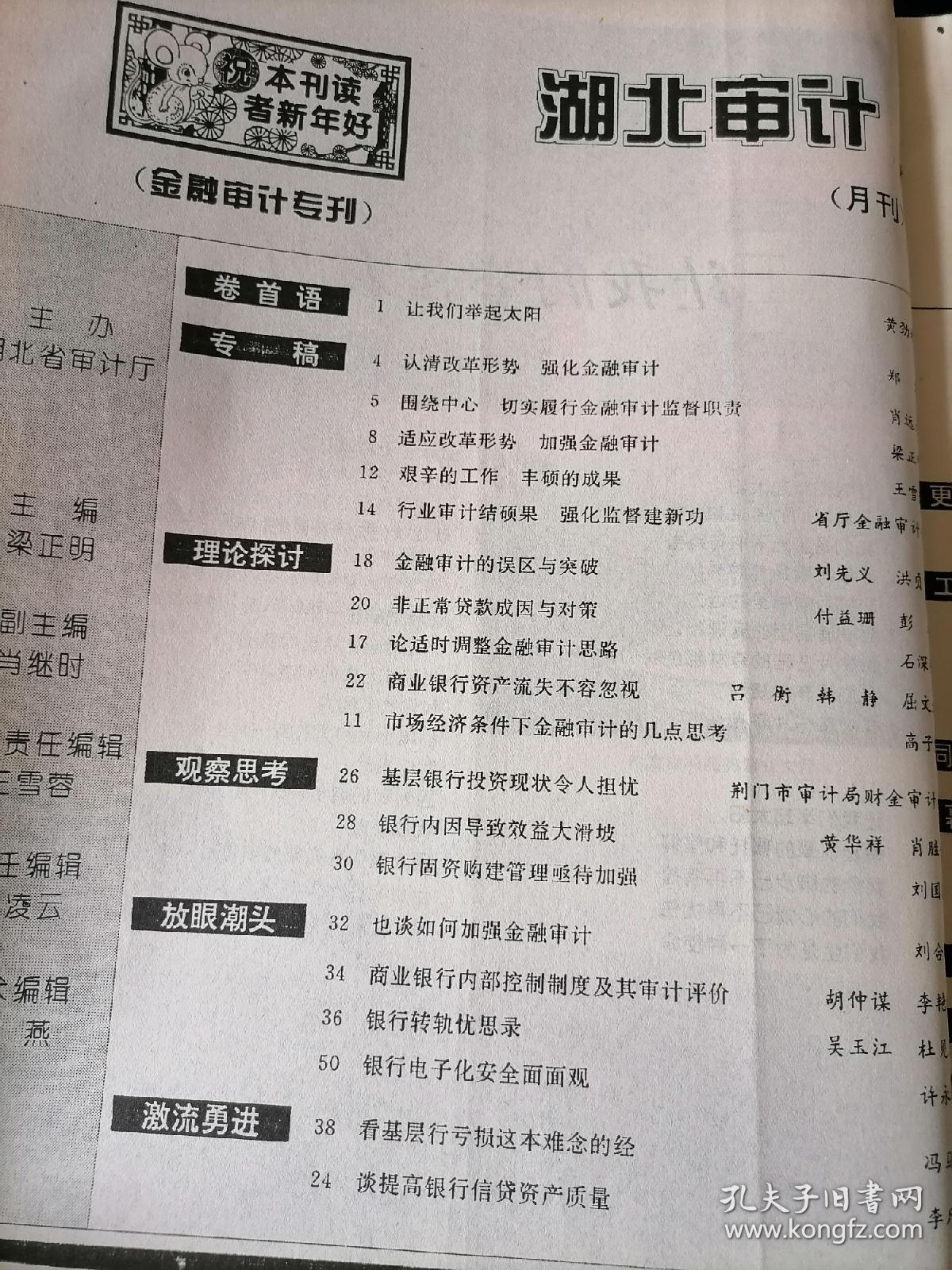 《湖北审计》月刊，1996年1-12期合订