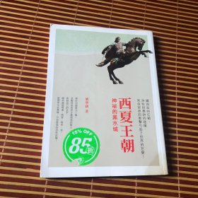 西夏王朝：神秘的黑水城