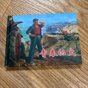 《青春似火》50开精装，农业学大寨连环画
