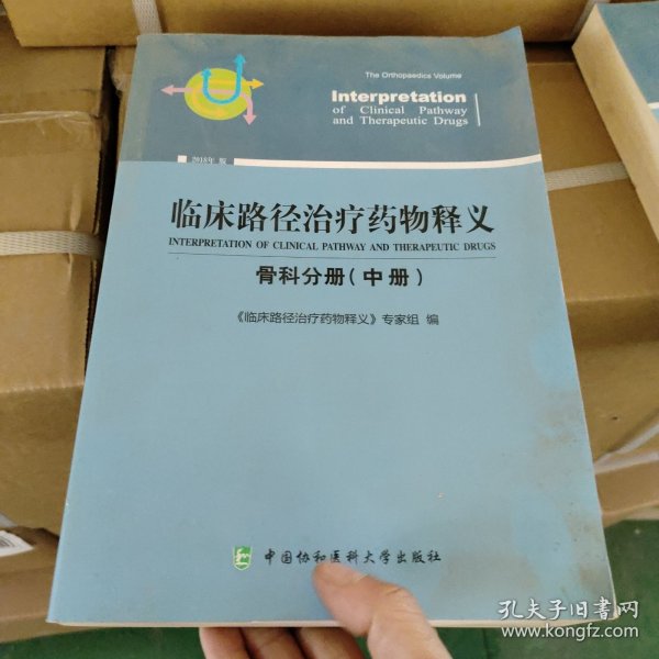 临床路径治疗药物释义：骨科分册（中册2018年版）