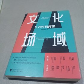 文化场域：从万科到阿里（中国500强企业实战经验，10个组织文化问题，20个组织文化生成和落地要点总结）