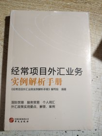 经常项目外汇业务实例解析手册