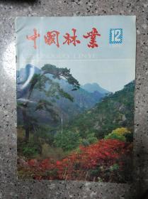 中国林业  1980.12