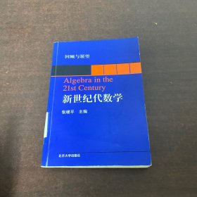 新世纪代数学