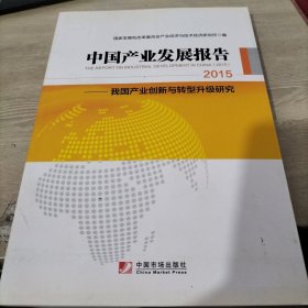 中国产业发展报告：2015（国家发改委产业经济与技术经济研究所发布，梳理2014+展望2015，产业创新+转型升级，内容全+数据实）