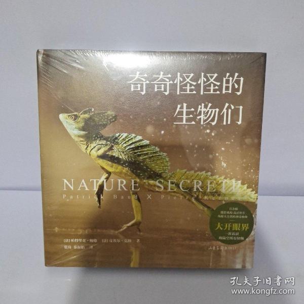 奇奇怪怪的生物们（神奇动物在这里！澳大利亚的五彩蜘蛛、马达加斯加的枯叶壁虎、印度的巨型松鼠…百余种珍稀物种，大开眼界！）