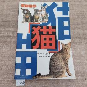 猫    宠物世界