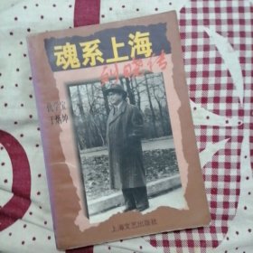 魂系上海:刘晓传