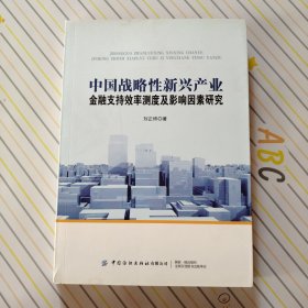 中国战略性新兴产业金融支持效率测度及影响因素研究