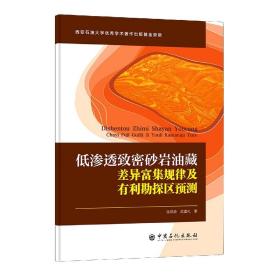 低渗透致密砂岩油藏差异富集规律及有利勘探区预测