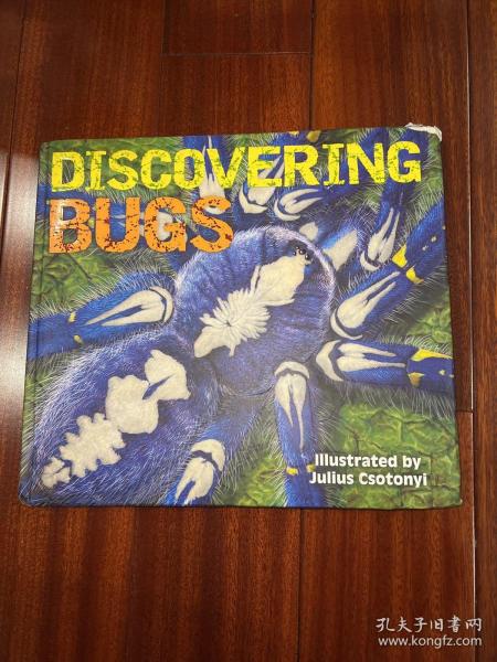 Discovering Bugs 昆虫大发现/百科书籍图书英文原版