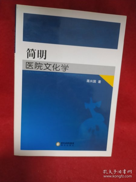 简明医院文化学