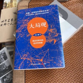 大局观：真实世界中的经济学思维（经济学家何帆写给普通人的经济学导读）