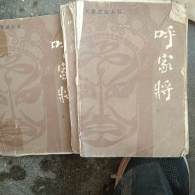 80年代评书 呼家将上下册