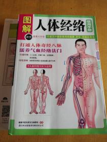 图解人体经络使用手册