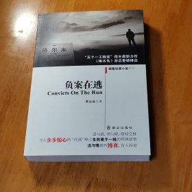 负案在逃