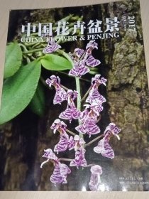 中国花卉盆景2017年第03期