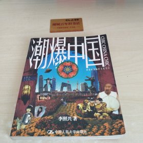 潮爆中国：新新中国城市文化笔记