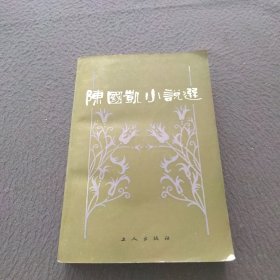 陈国凯小说选