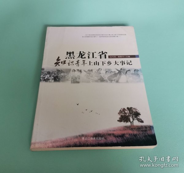 黑龙江省知识青年上山下乡大事记 一版一印