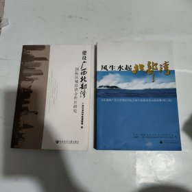 建设广西北部湾国际区域经济合作区研究