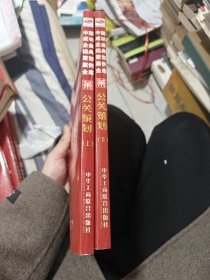 中国成功企业经典策划案例全库