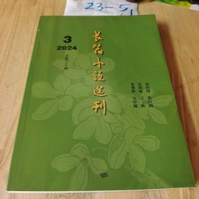 长篇小说选刊 2024年第3期