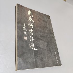 武春河書法選