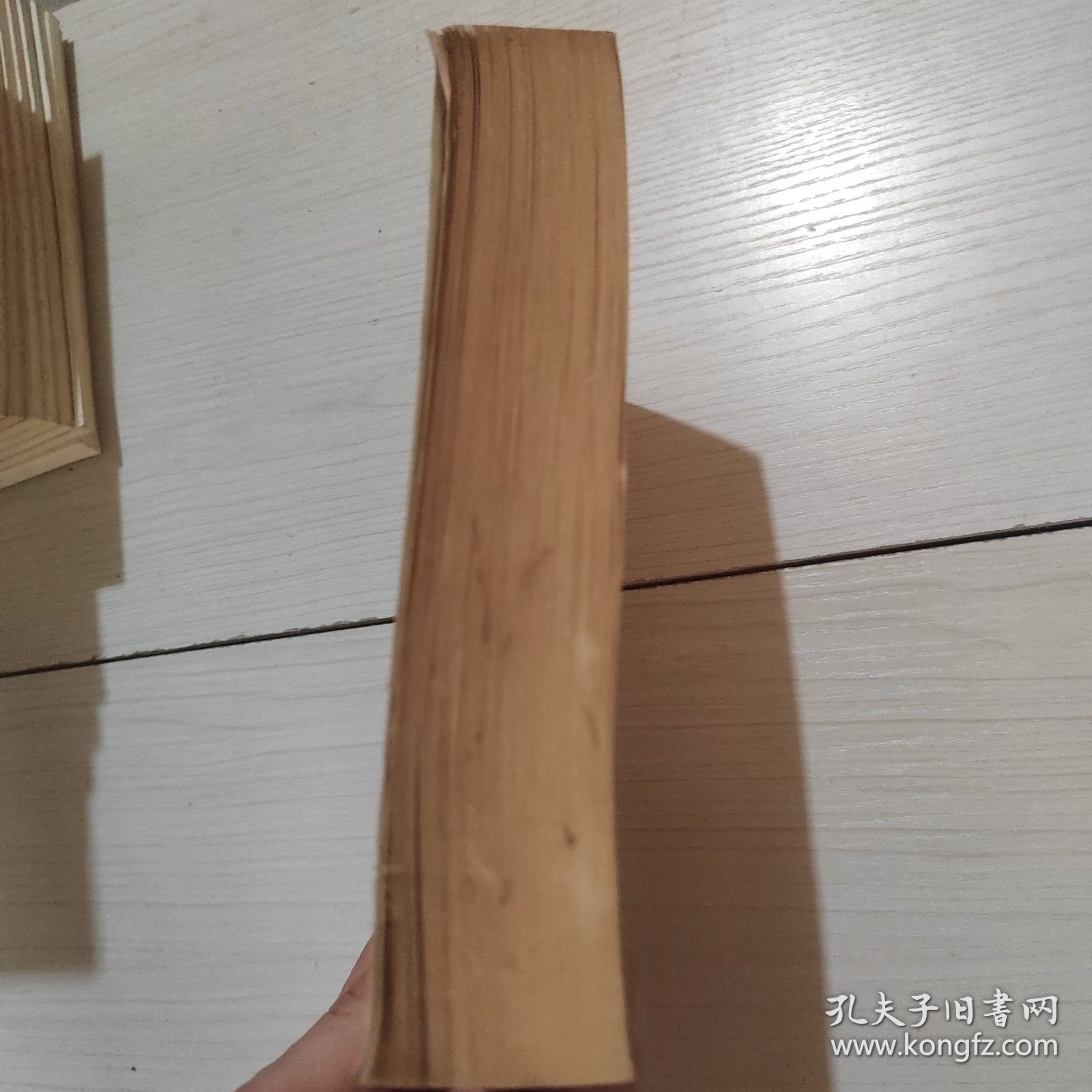 网格本：诗选 莱蒙托夫 8-3号柜