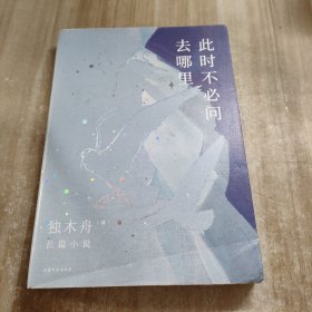 此时不必问去哪里（80后文学领军作家独木舟暌违五年，2020长篇力作）