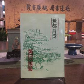 《当代四川》丛书：盐都自贡