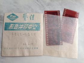 86年 黄石市老文艺工作者合影 底片4张