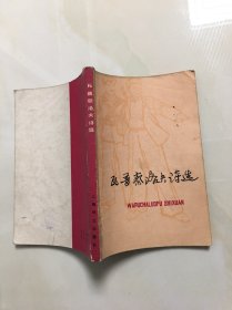 瓦普察洛夫诗选