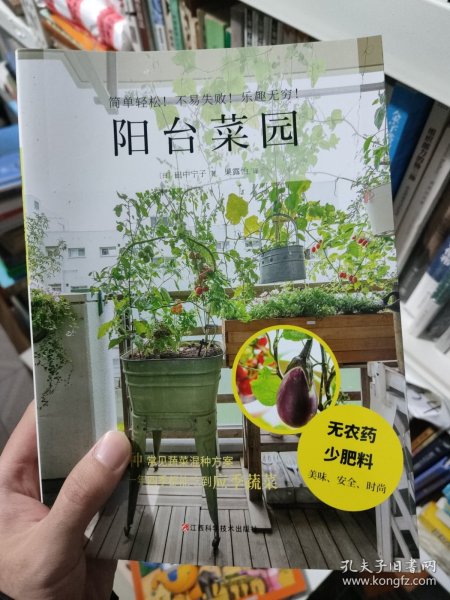 阳台菜园