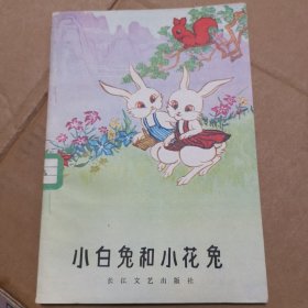 小白免和小花免