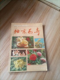 北京花卉