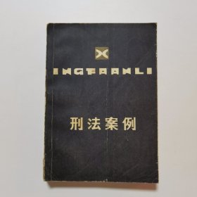 刑法案例