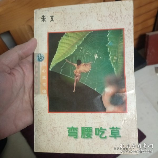 弯腰吃草：城市斑马丛书