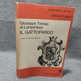 Giuseppe Tomasi di Lampedusa IL GATTOPARDO