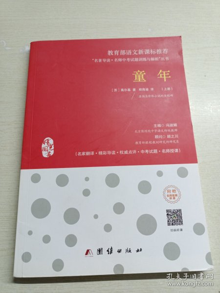 童年 新课标、名家名译经典版本、教育部专家全程指导、一线语文特级教师编写名著导读及中考真题模拟题（套装共2册）