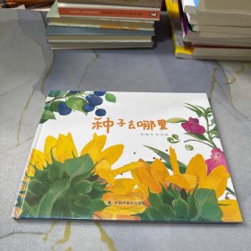 种子去哪里