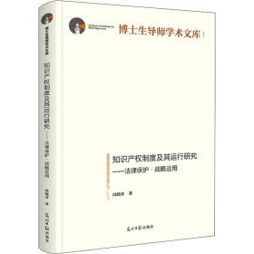 知识产权制度及其运行研究：法律保护·战略运用