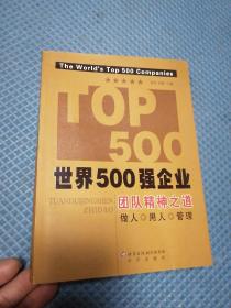 世界500强企业团队精神之道