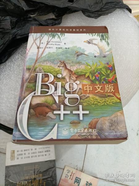 Big C++中文版