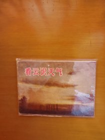 看云识天气