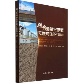 砾岩油藏化学驱实践与认识 刘顺生 等 正版图书